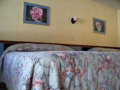 Roscoe Motor Inn Coshocton Εξωτερικό φωτογραφία